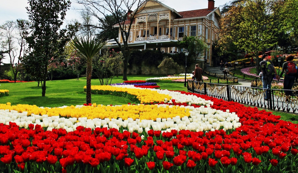 Istanbul Tulip Festival at Emirgan Park