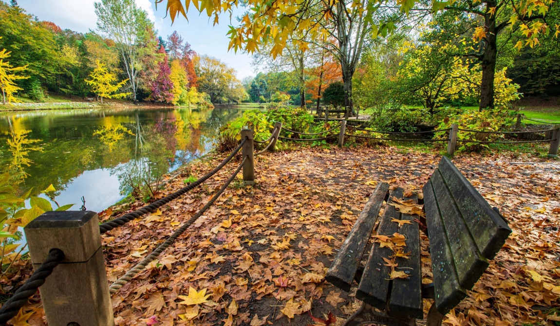 Let's Explore Ataturk Arboretum Under 7 Subtitles