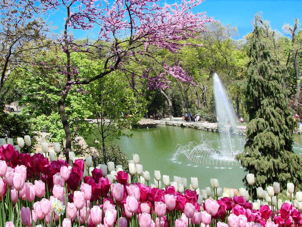 Istanbul Tulip Festival at Emirgan Park